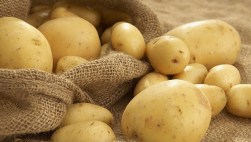 В Россию запретили ввозить украинский картофель